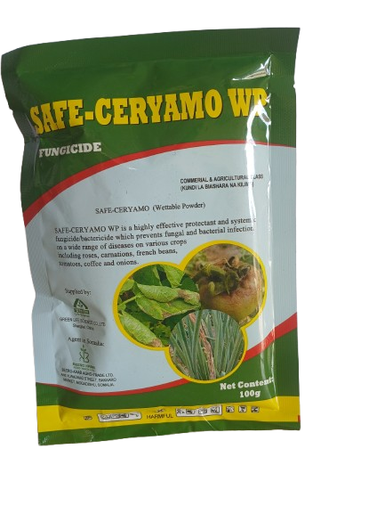 SAFE-CERYAMO WP
